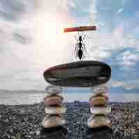 爬​虫​软﻿件‌公‍司‍